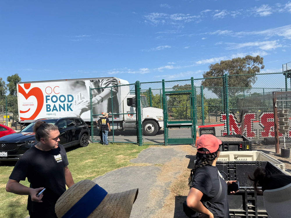 The OC Food Bank truck pulls up to accept the latest harvest at The Giving Farm.